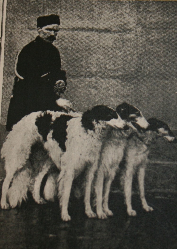 Дворянка порода собаки