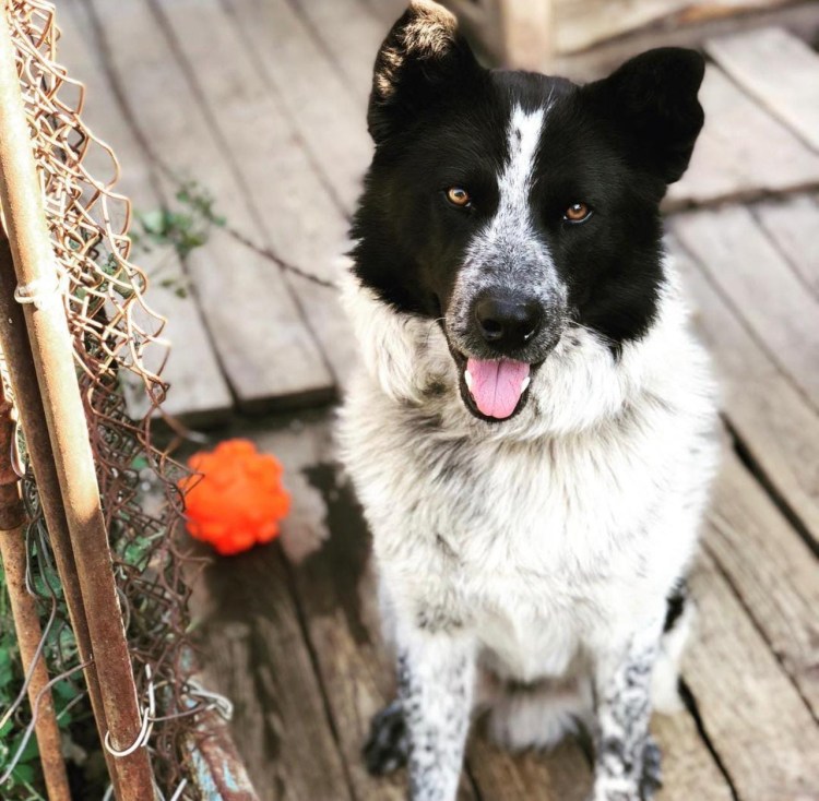 Тьерри Понселе