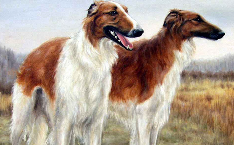 Алексей Кившенко художник