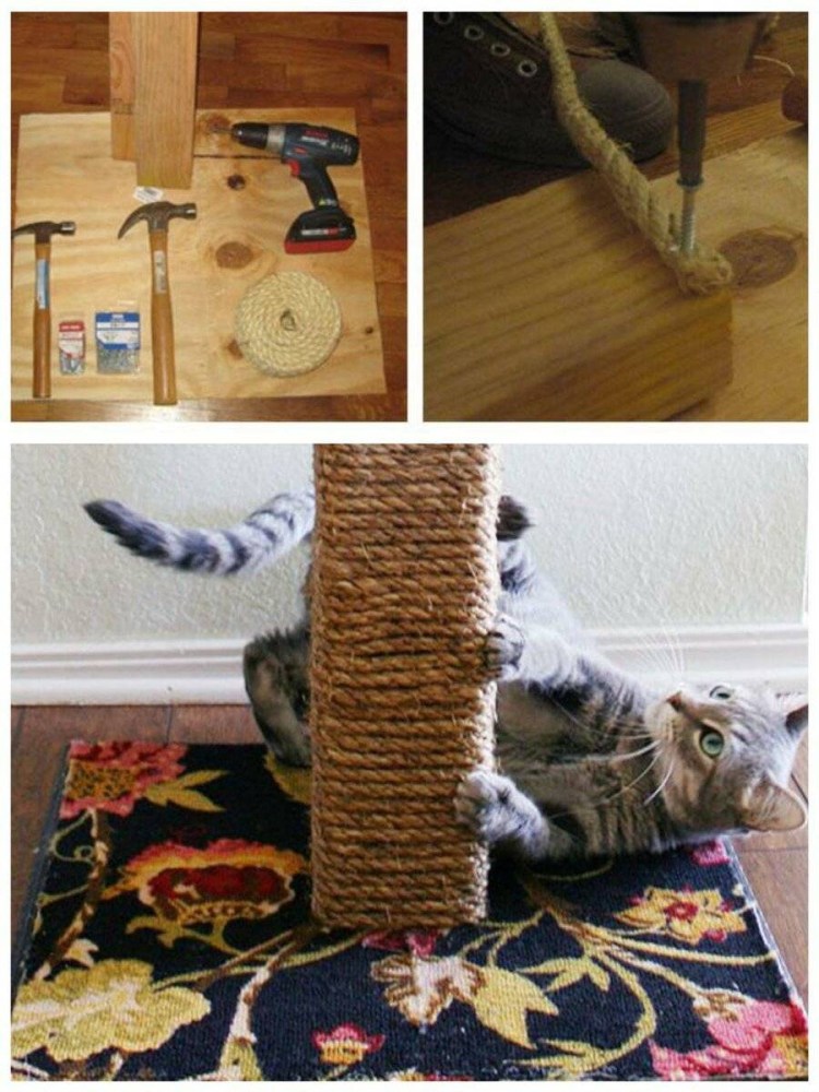 Когтеточка для кошек своими