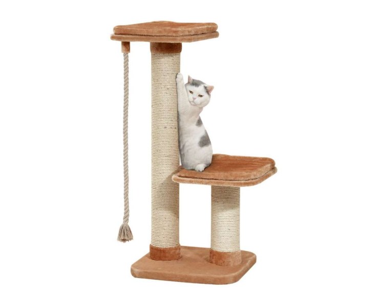 Когтеточка для кошек