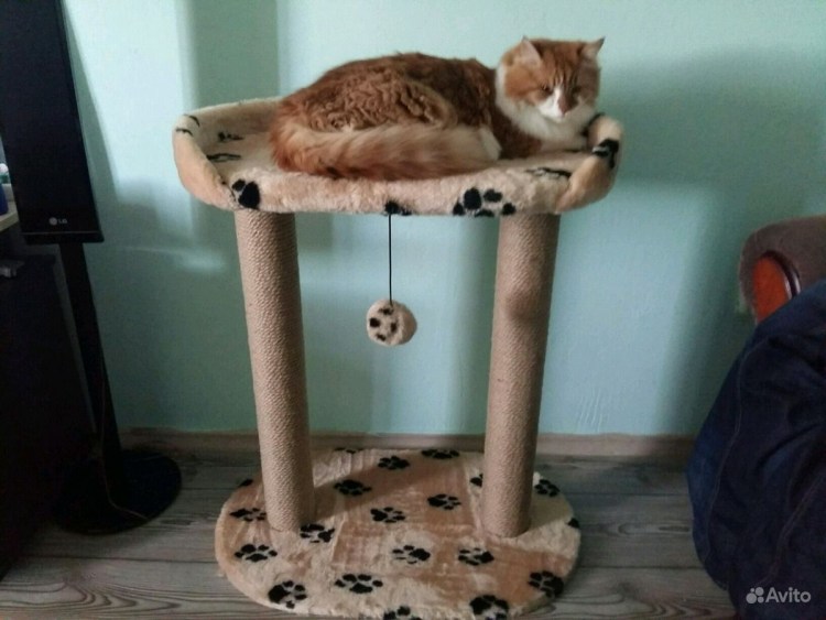 Когтеточка дерево для кошек
