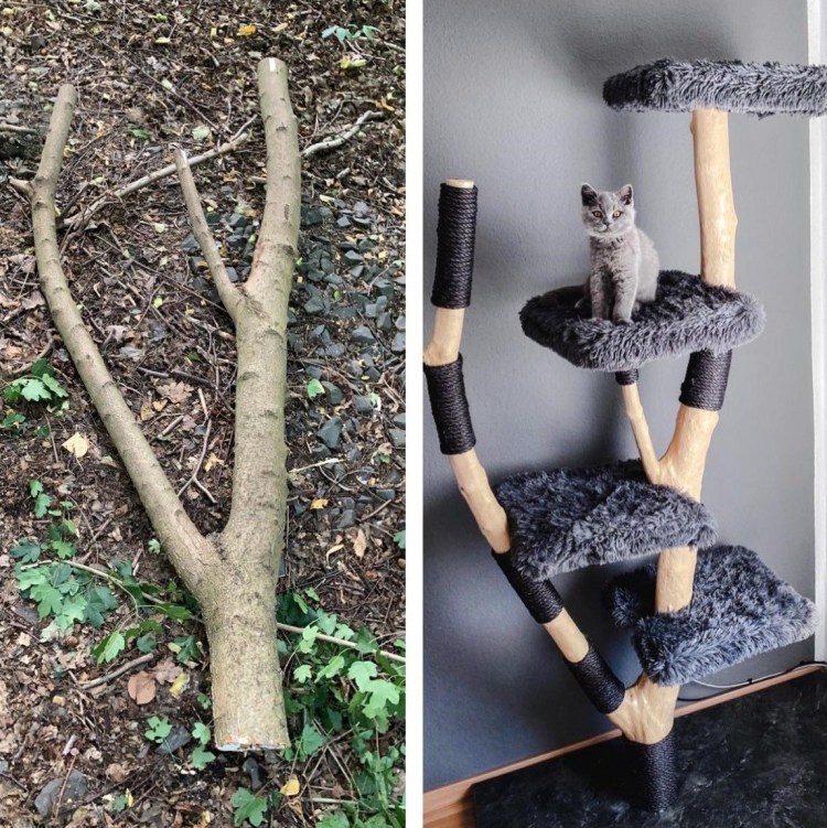 Домик-когтеточка "Квин"