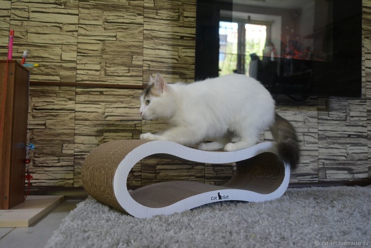 Домик-когтеточка для кошек своими руками