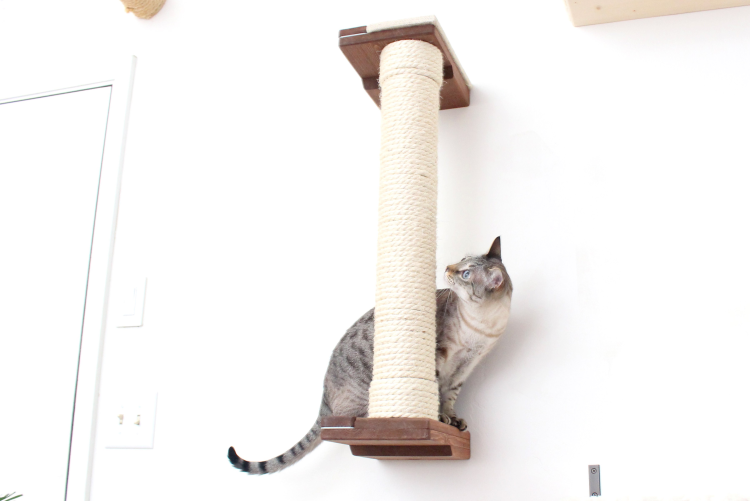 Когтедралка своими руками