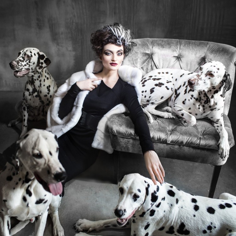 Карева Маргарита Далматинцы