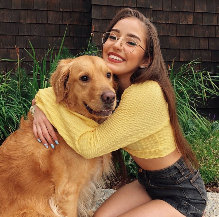 Австралийский Динго