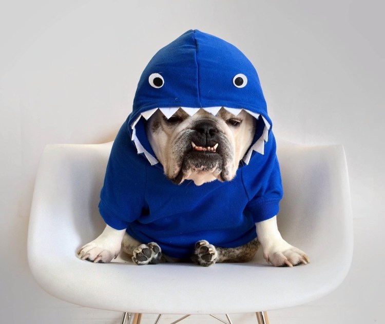 Спасательный плавательный жилет акула для собак