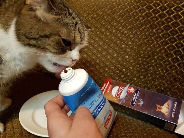 Паста Клини для кошек