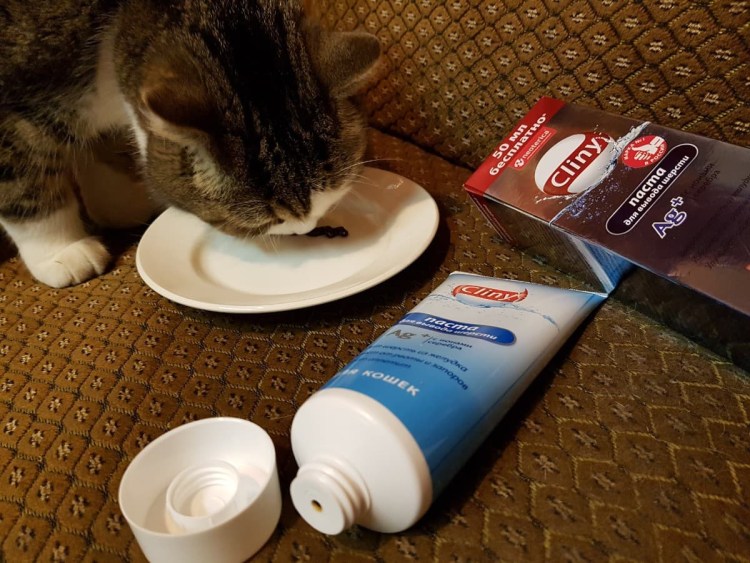 Паста Клини для кошек