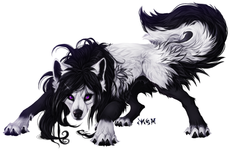 Волки аниме