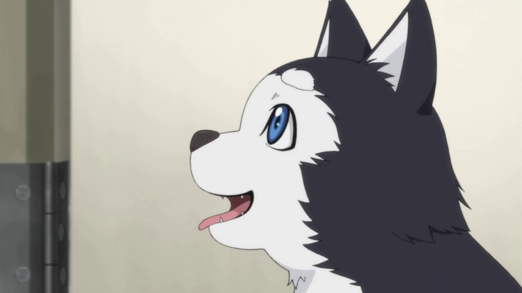 Щенок из аниме