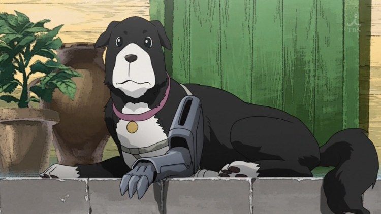 Стальной алхимик Дэн