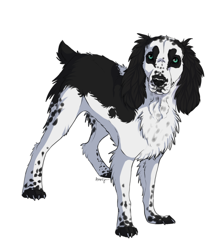 Спаниель собака арт