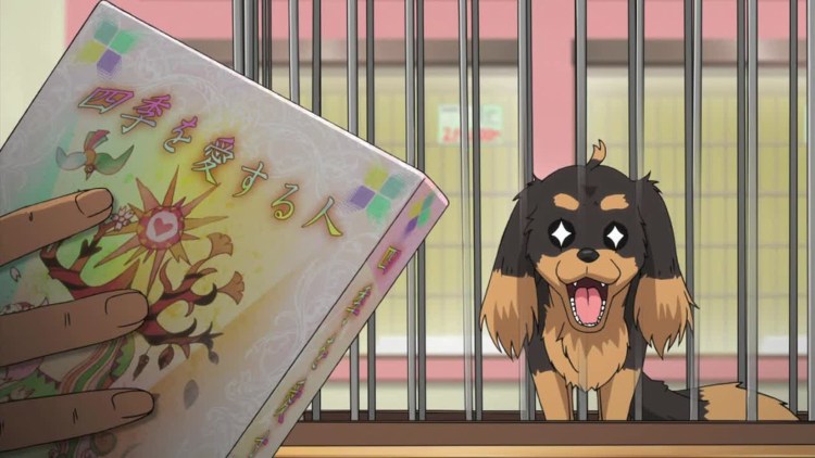 Пёс и ножницы Нацумэ