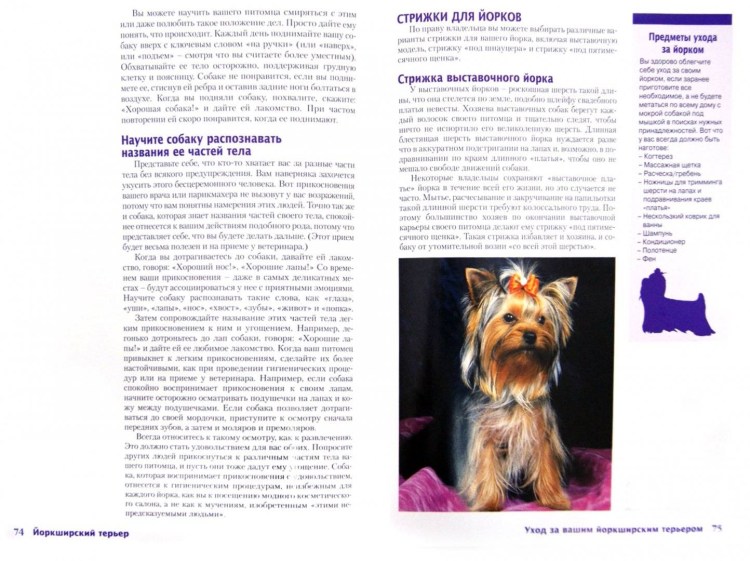 Лапы китайской хохлатой