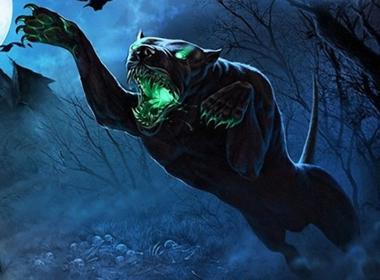 Собака Коломбо порода Бассет