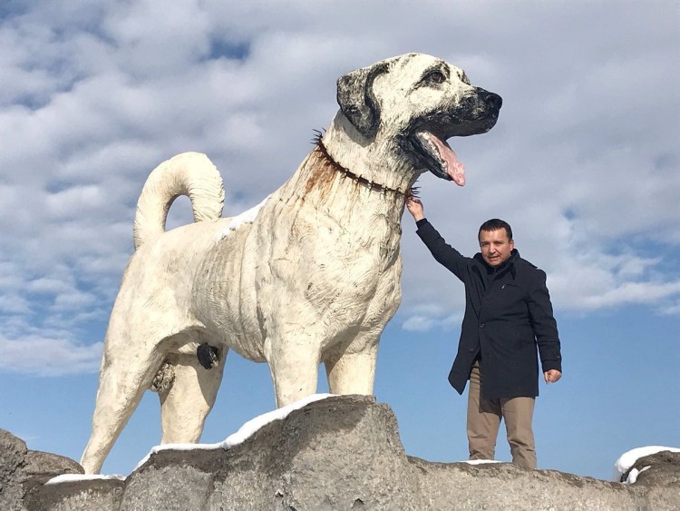 Туркменский алабай