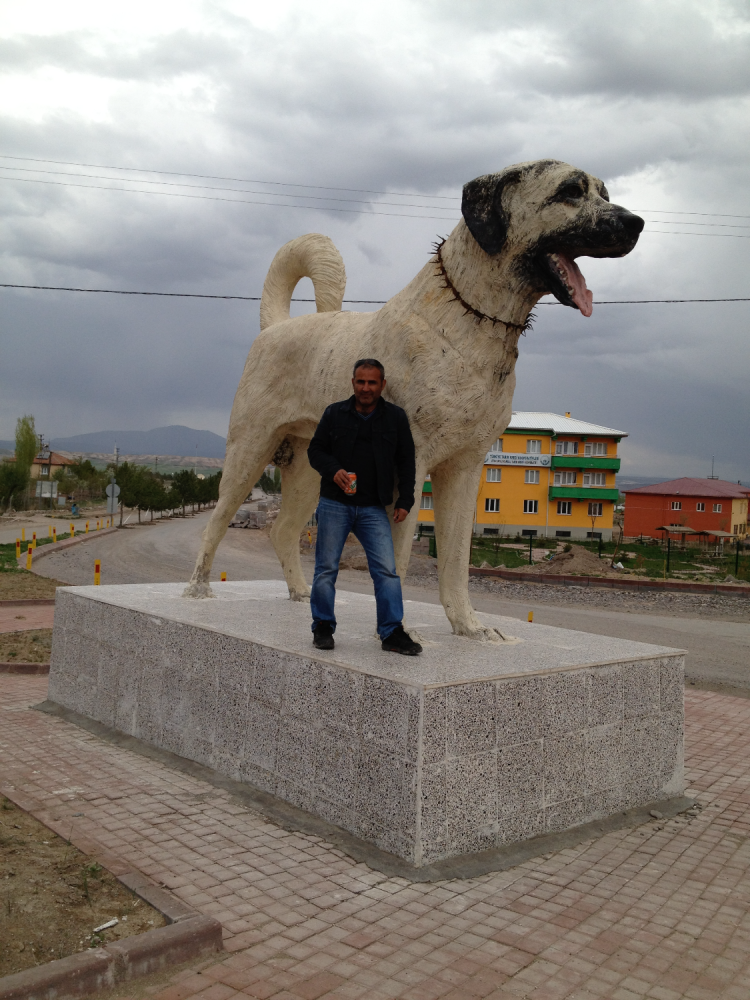 Кангал череп