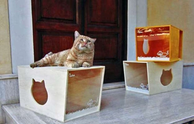 Домик для кошки из фанеры