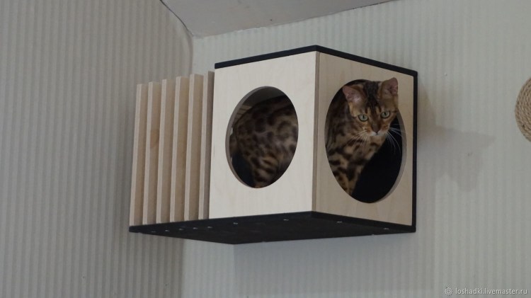 Домик для кошки из фанеры