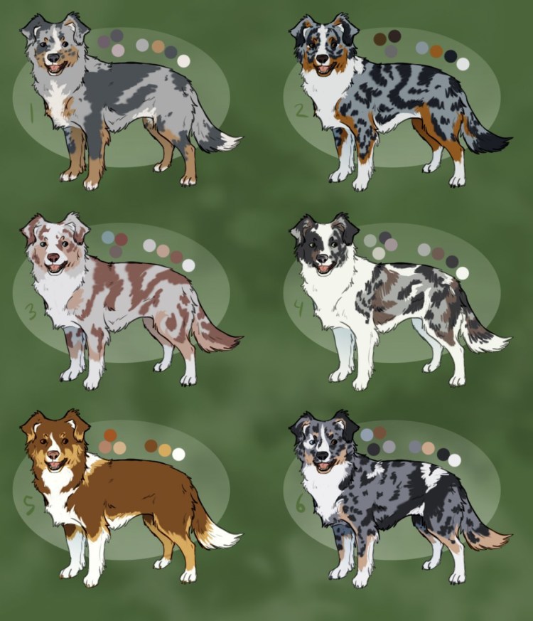 Тигровый бордер колли