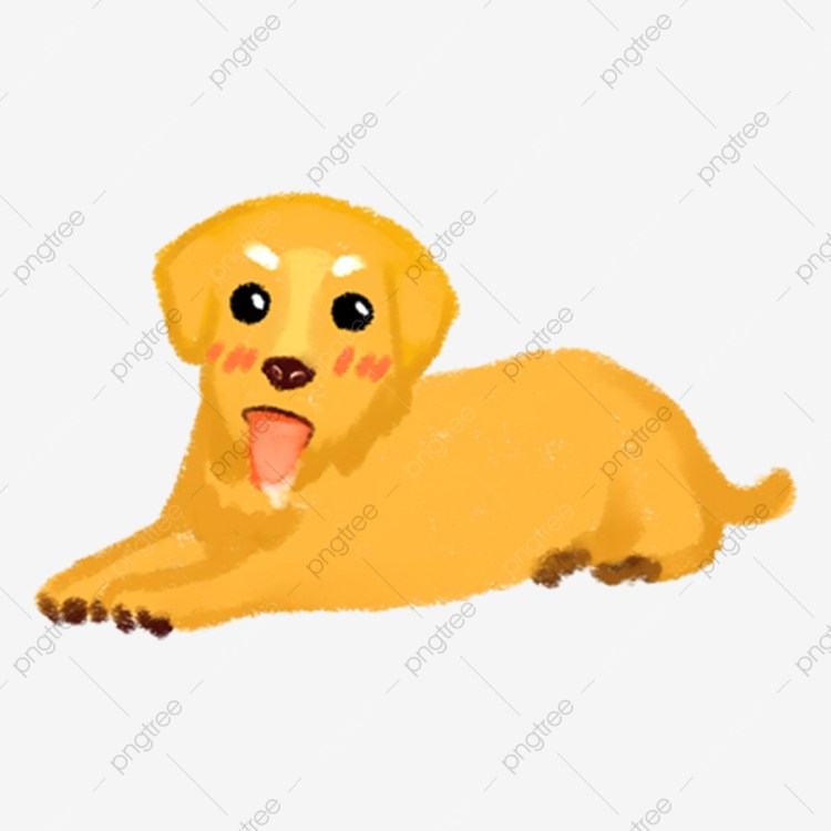 Собака желтая с вытянутыми руками и ногами
