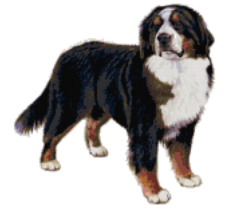 Елена Шумилова Данков