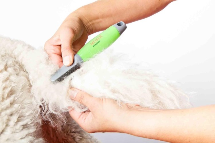 Колтунорез Delight боковой мини 8 лезвий загнутый 4316208n