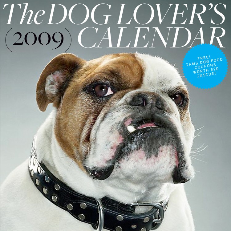 Хмурый хаски