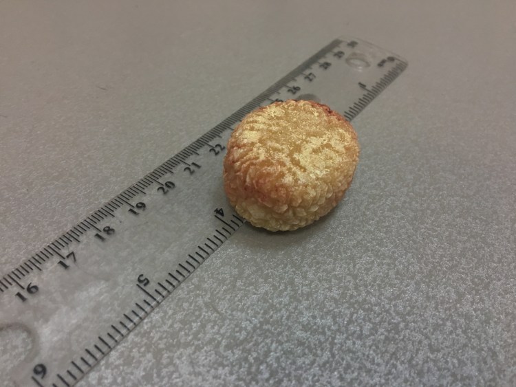 Мочевой пузырь собаки анатомия