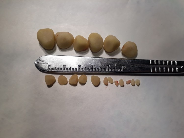 Как лечить мочекаменную болезнь у кошек