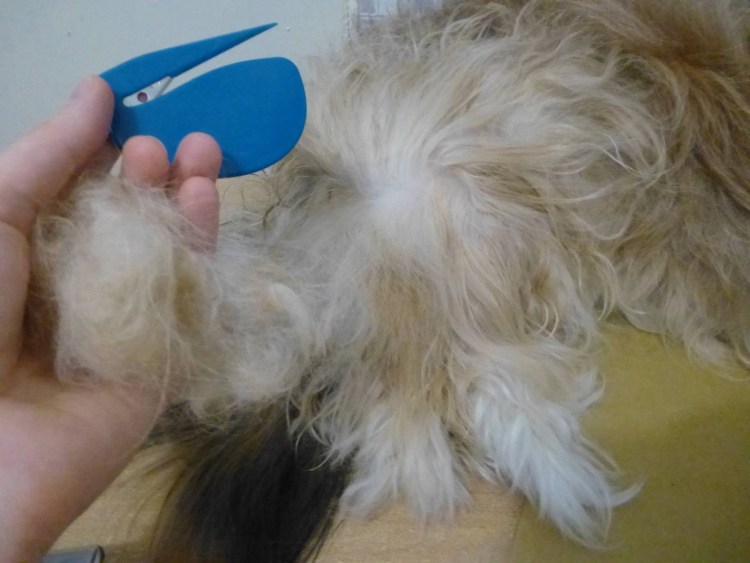 Щетка для Мейн куна