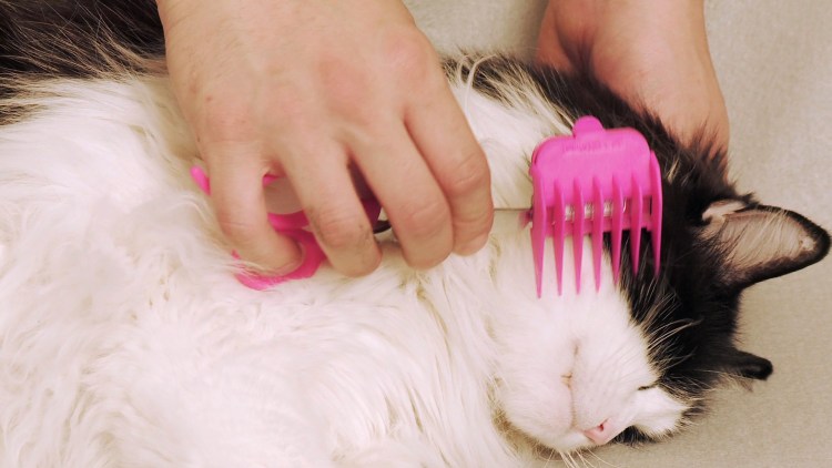 Щетка-колтунорез hello Pet 23810y