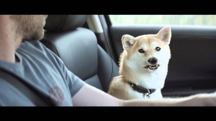 ИП Пирогова Фрида