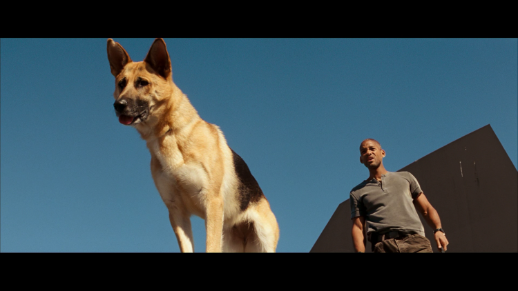 Пол Уокер белый плен