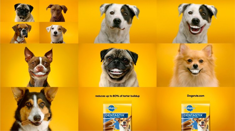 Денис Никифоров Бим