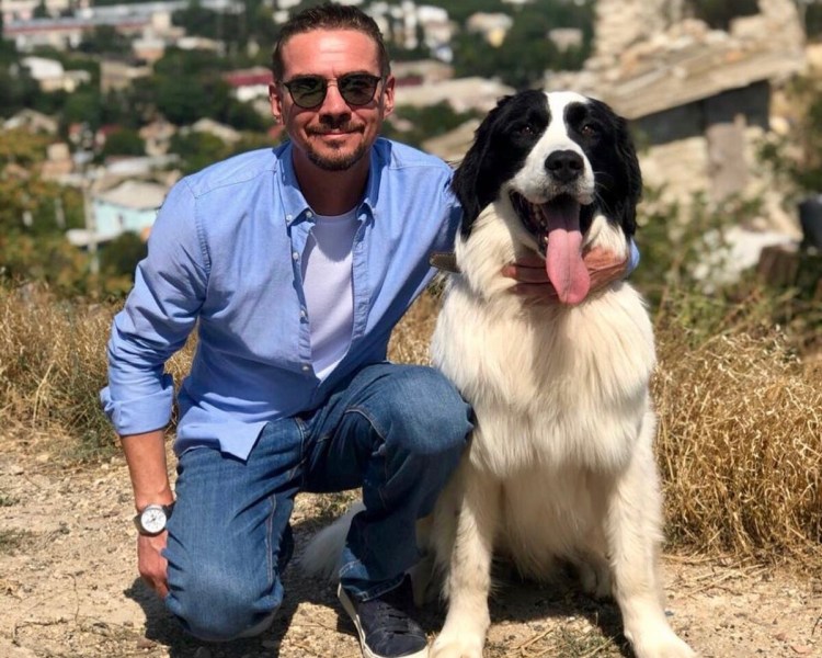 Голландская овчарка Квазимодо псина