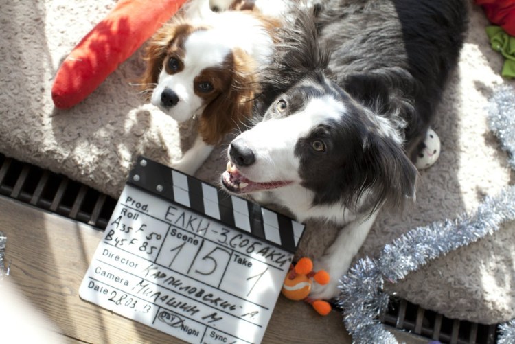 Плохо нарисованная собака