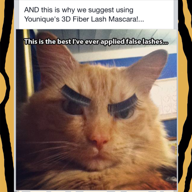 Кот с ресницами