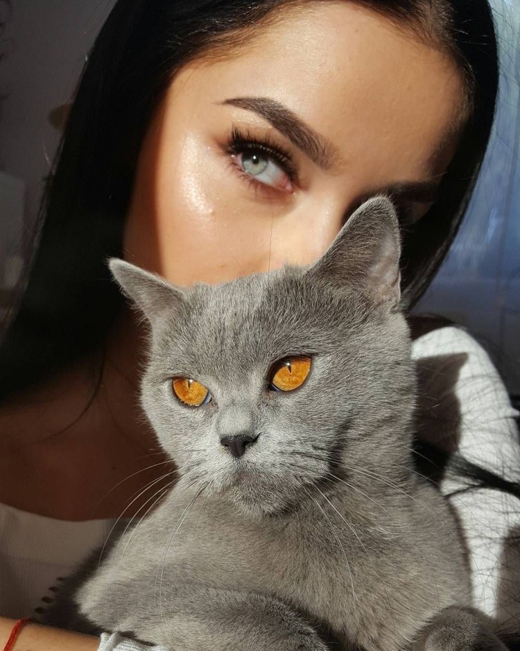 Девушка с кошачьими глазами