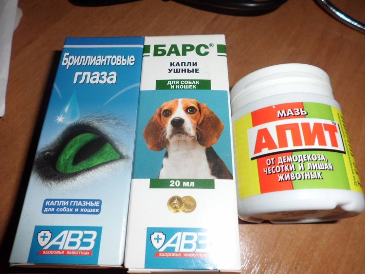 Симпарика и Бравекто для собак