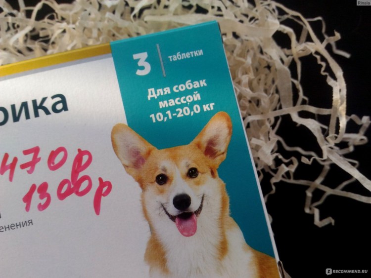 Демодекоз препараты от демодекоза у собак