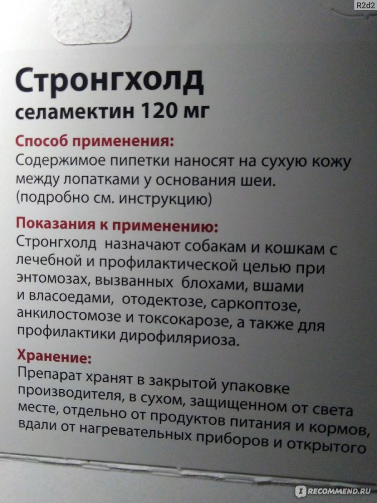 Саркоптоз демодекоз нотоэдроз