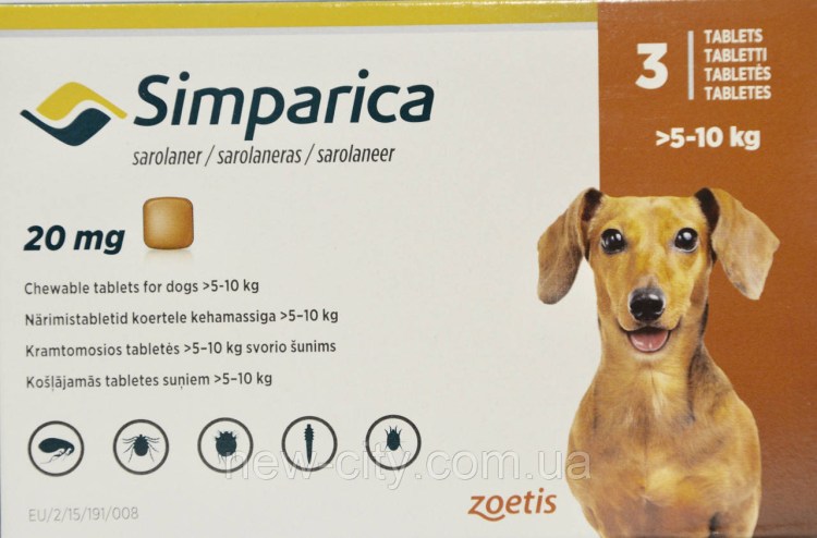 Милиарный дерматит у кошек