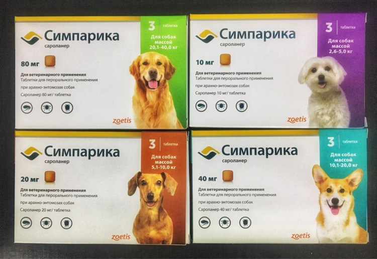 How to get rid of Dog