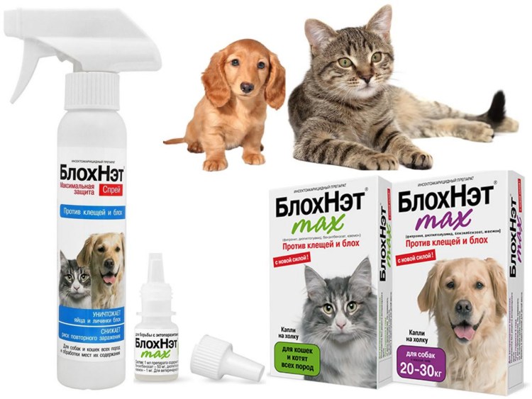 Капли от блох для стаффорда