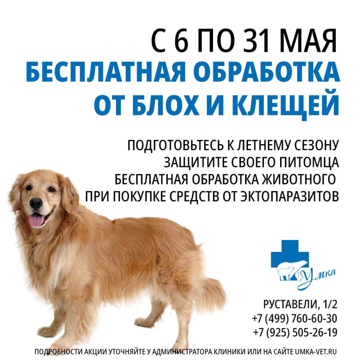 Вет Актив таблетки для собак