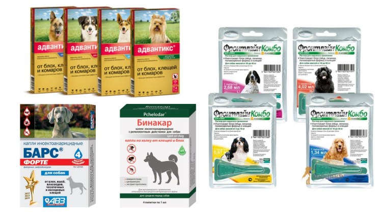 Обработка от клещей собак