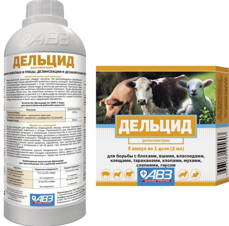 Блоха блошиный дерматит